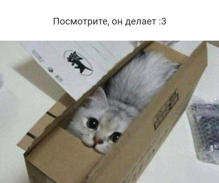 Мем от хипстер хаеп