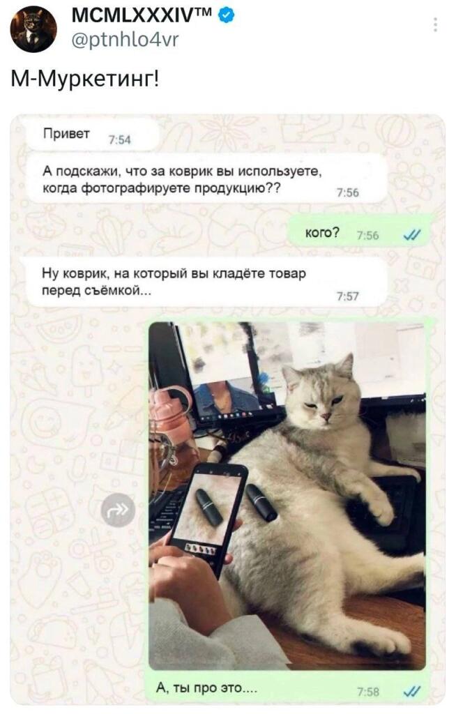 похожа на Силю