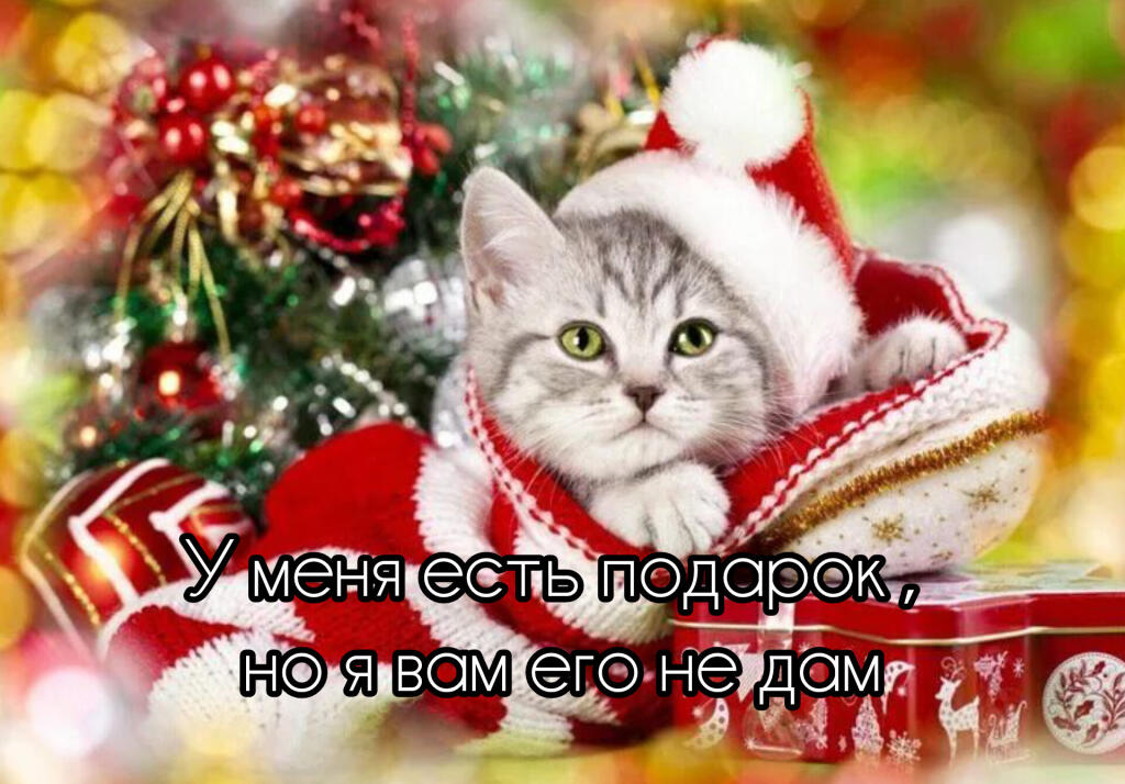 Подарок
