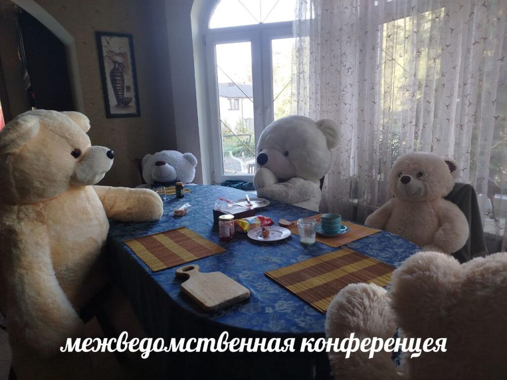 Мем от КотоУт