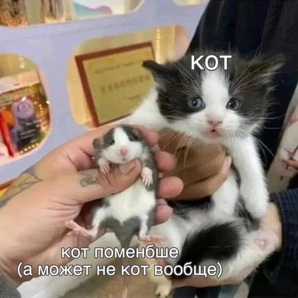 текст думает
