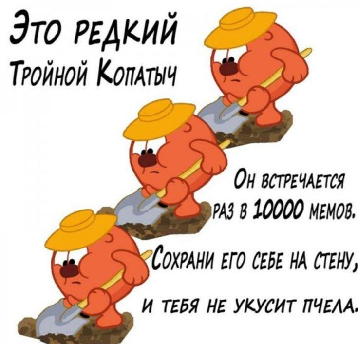 Это правда