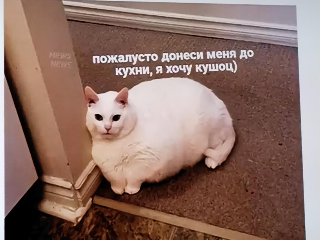 Несколько мемов из видео алексея совы