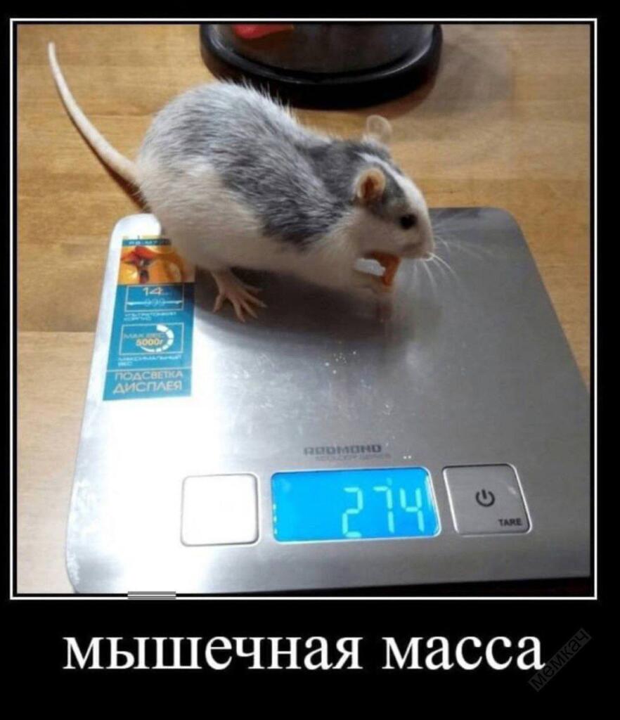 И да я вернулся