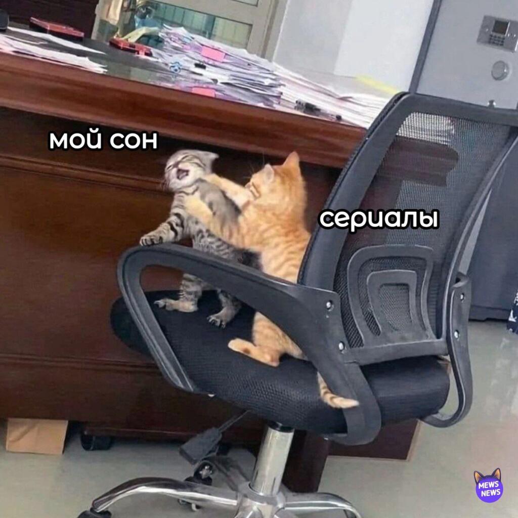 Мем без подписи