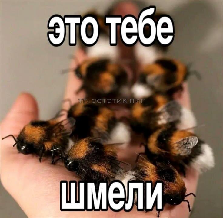 вам