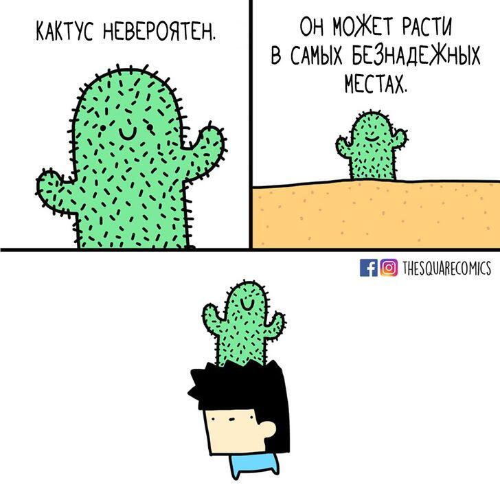 шаблон