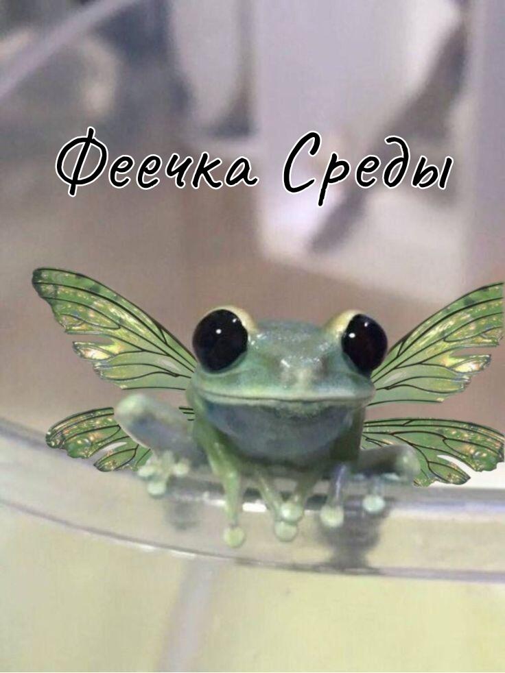 Happy frog day!