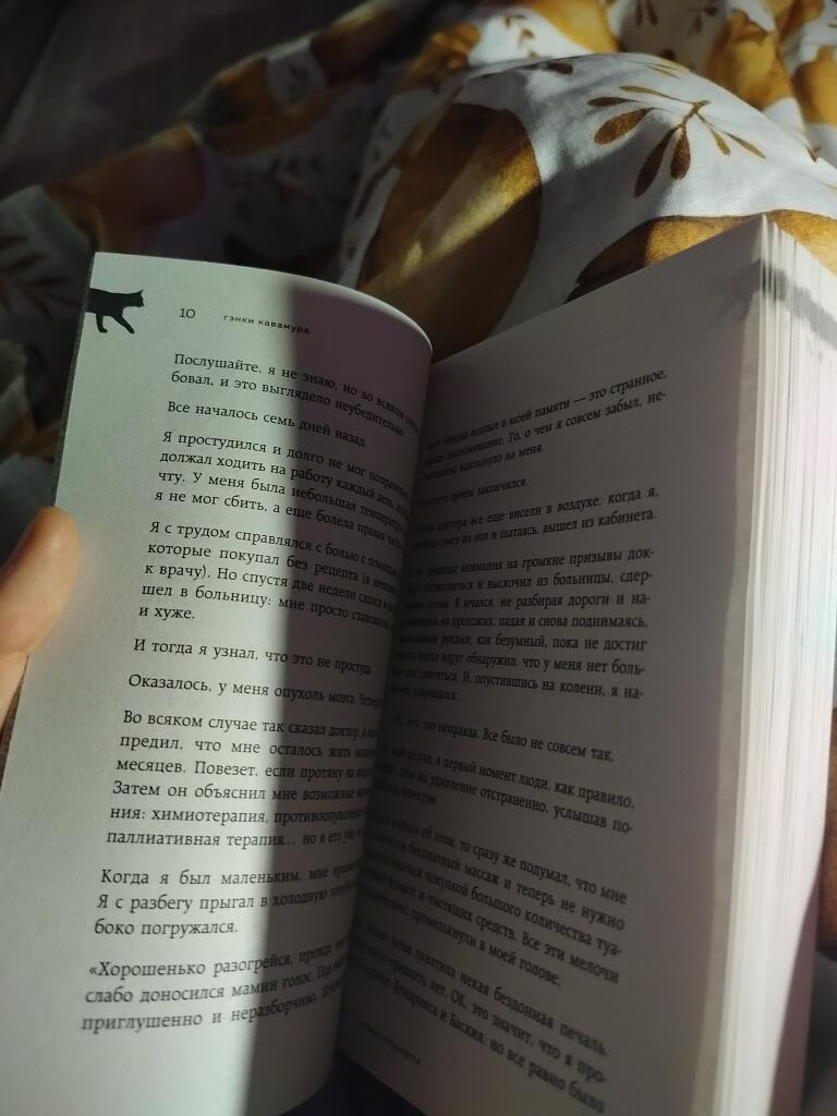 Мне тут ещё книжечку на нг подарили... И в ней КОТИК ХОДИТ ПО СТРАНИЧК...
