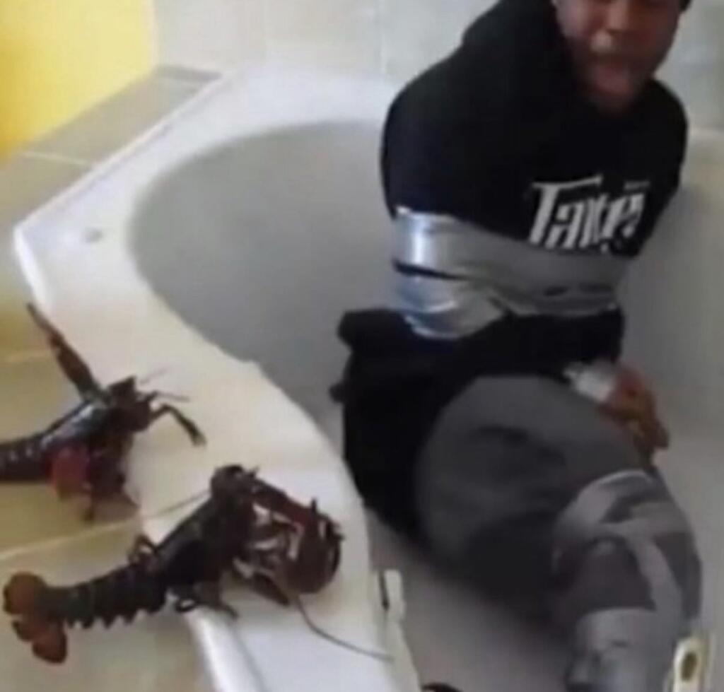 Восстание раков 🦞