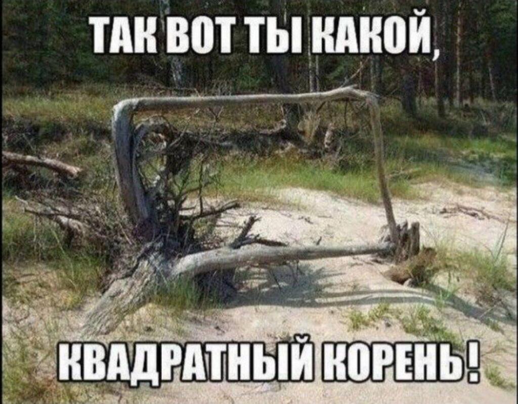 Квадратный корень