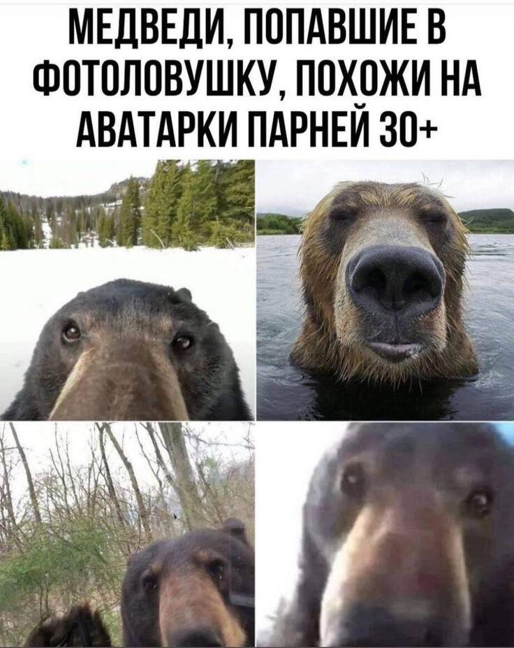 Держите фото на аватарке