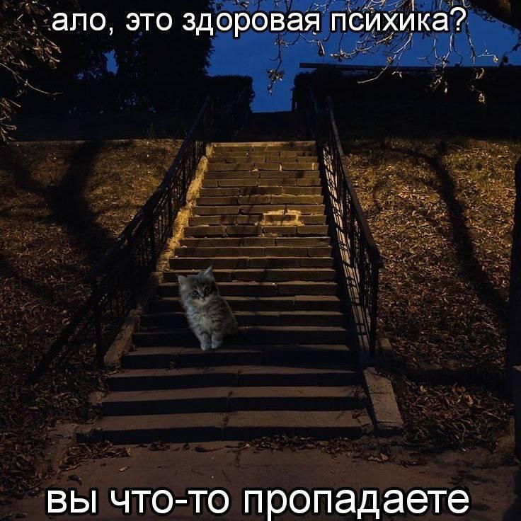 Мем от misfortune official