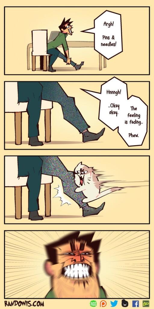 Мой кот когда всегда