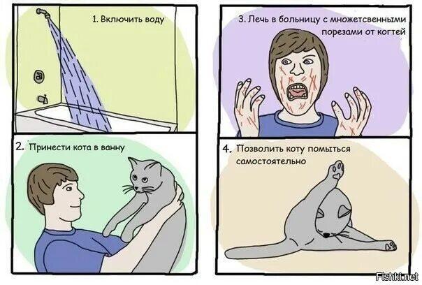 Мем от xnj z pf xvj