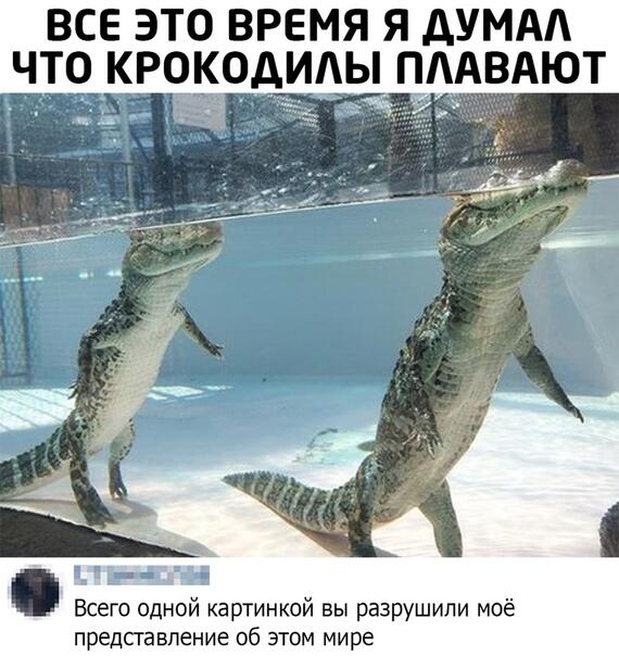 Мем от Джус