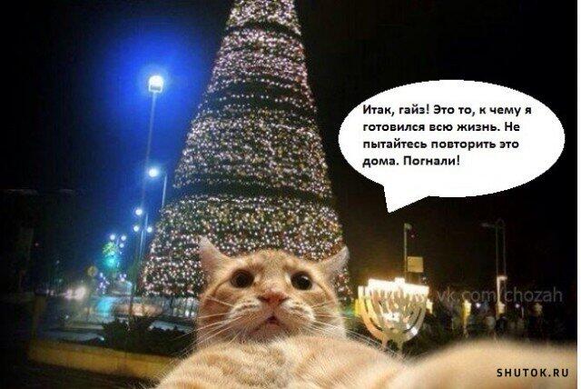 Мем от z cjnhe ct,z bp buhs [NOT PLM]