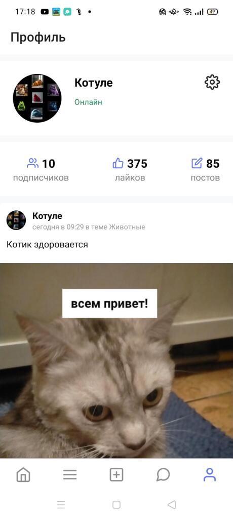 Всем спасибо за 10 подписчиков! и 375 лайков.