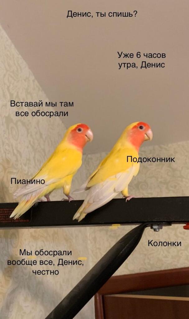 Наташа это прошлый век, поэтому вот вам Денис