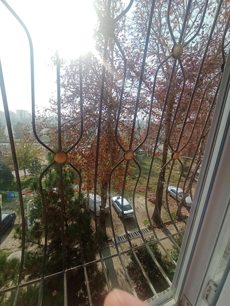 Выкладываю свой вид из окна каждый день.  день 3