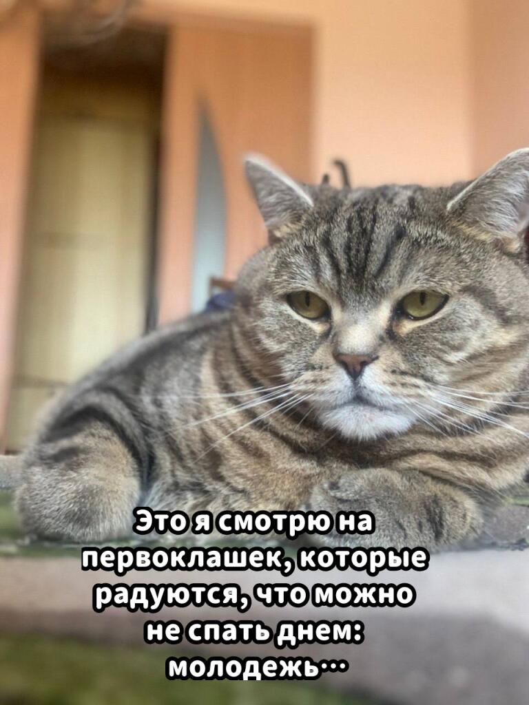 Мем
