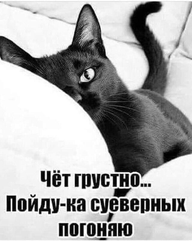 Мем от ГУП "НМТ"