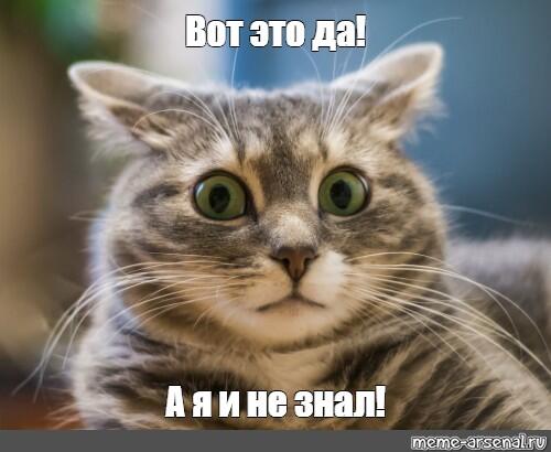 Я: Иду на кухню съесть шоколад
папа кричит: не ешь уже поздно!
Я сожравший 6 тонн зефира пять минут назад.