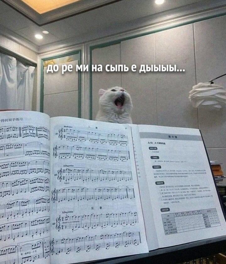 Хорошо поет)
