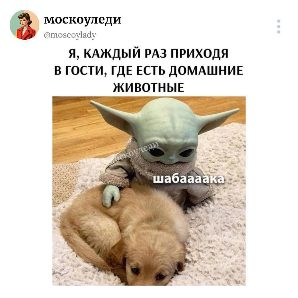 Мем от misfortune official