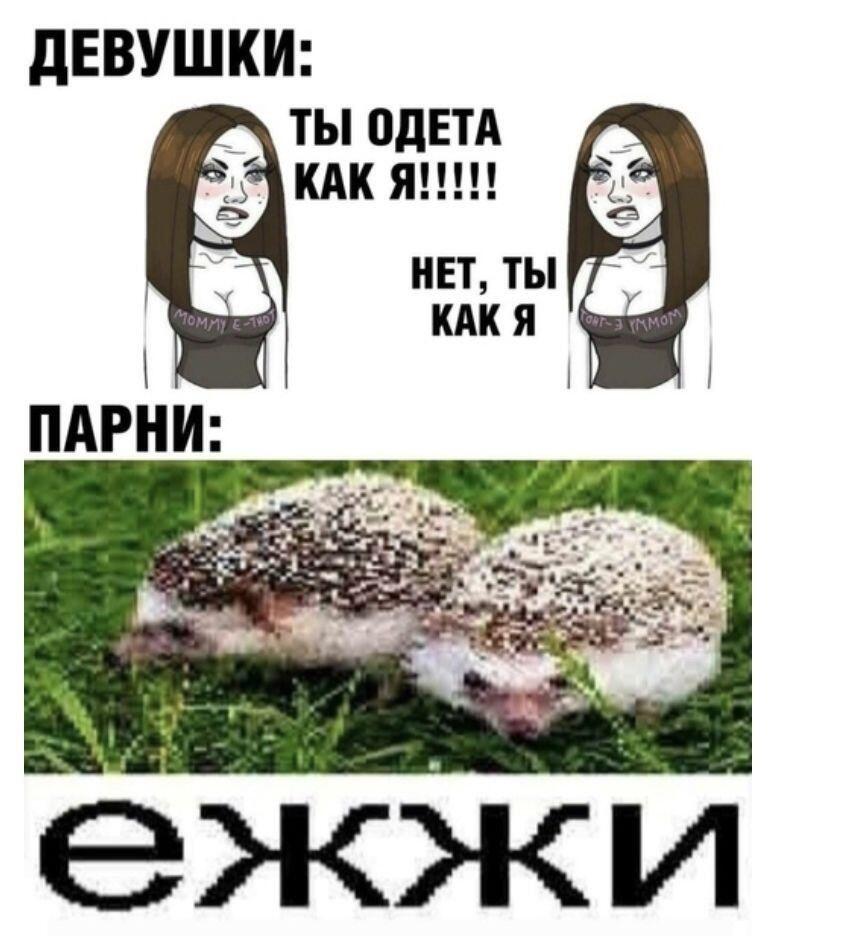 ёжжики