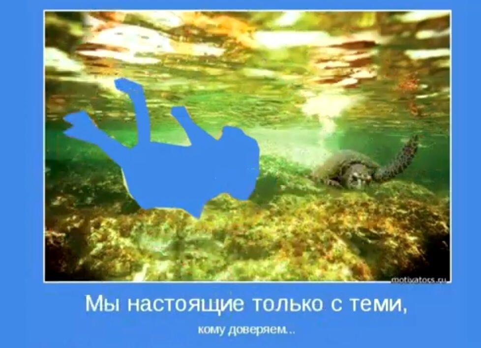 доверять ва .... а где человек?
