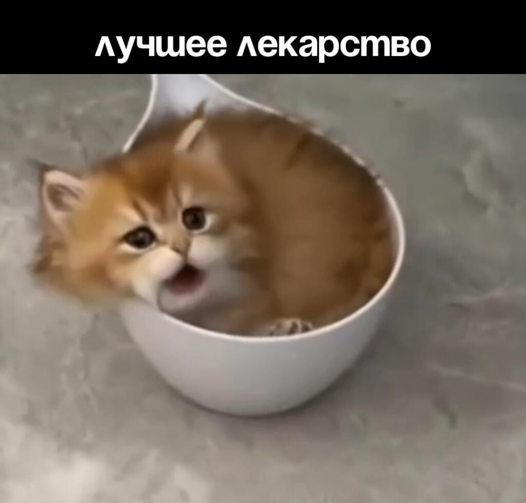 Принимать по ложке в день