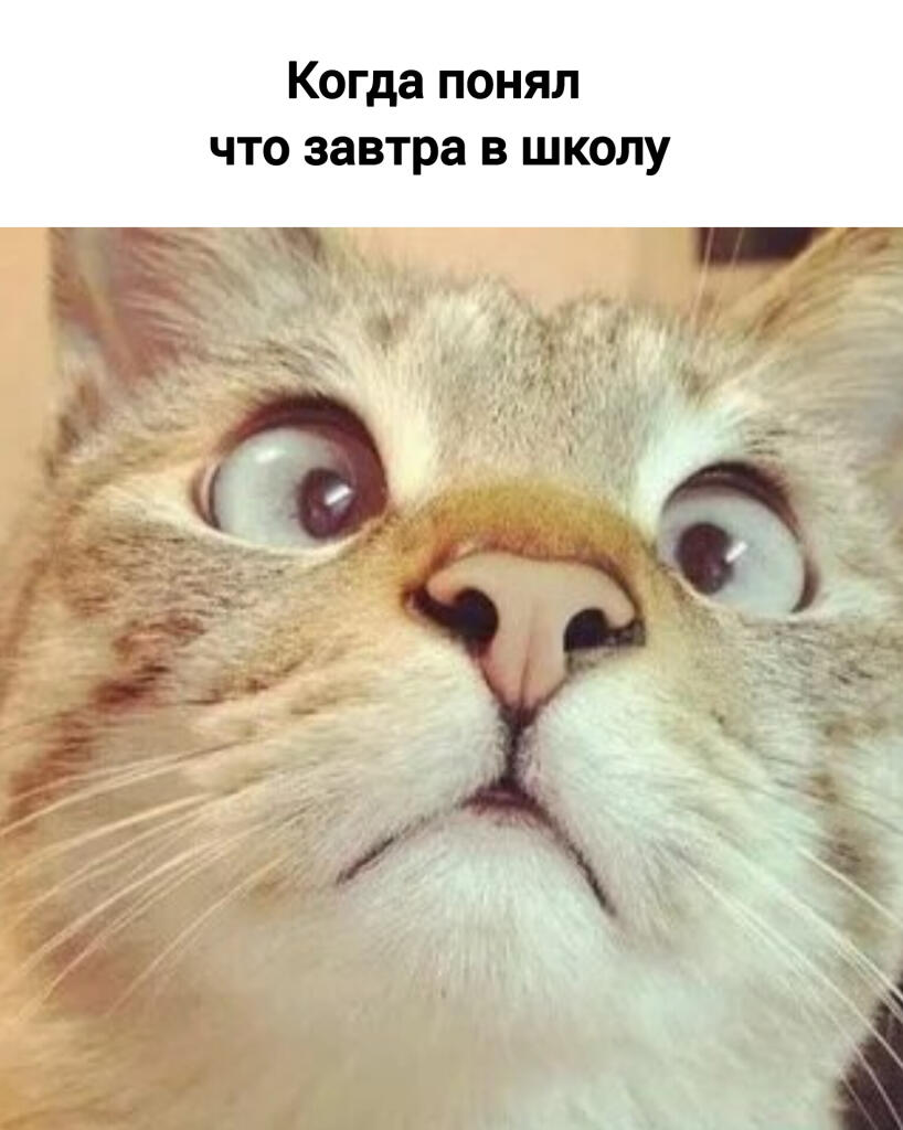 Скоро в школу