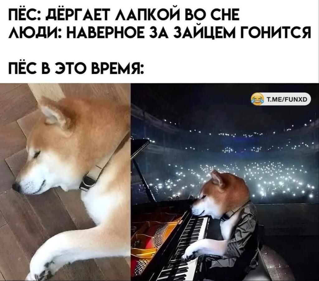 Мем от КотоУт