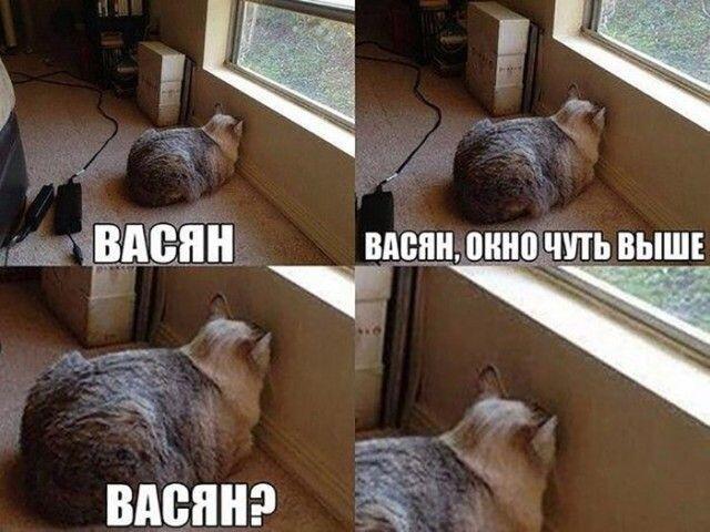 ВАСЯН!!!!!!! ВАСЯЯЯЯЯЯЯЯЯЯН!!! ВААААААААСЯЯЯЯЯЯЯЯНННН!!