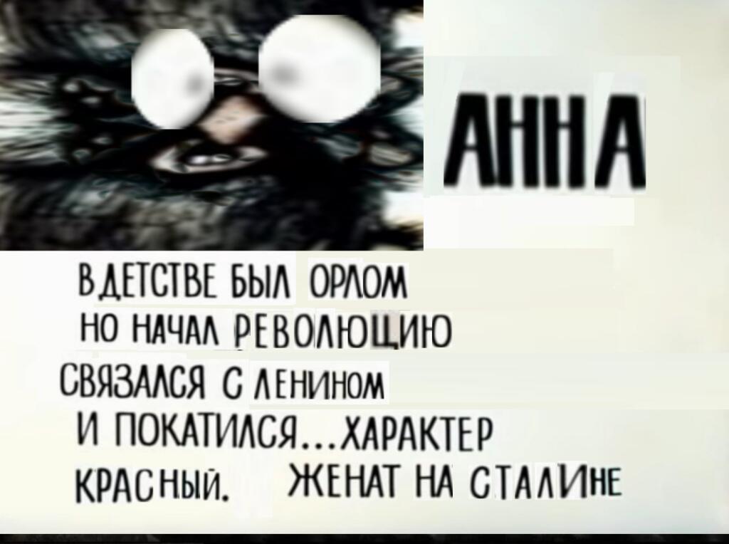 Анна досье