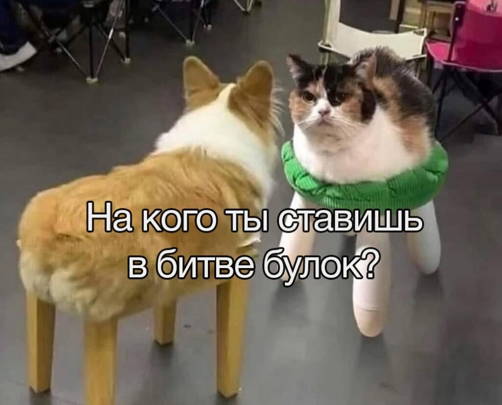 Pov (от первого лица): Ты лягушка, наблюдающая за битвой Цербера и Исполина