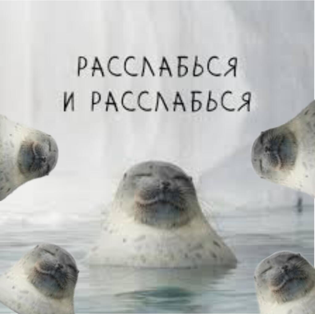 Расслабься🫠