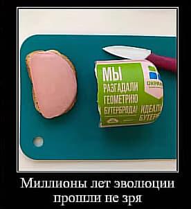 Мем от саня4оус