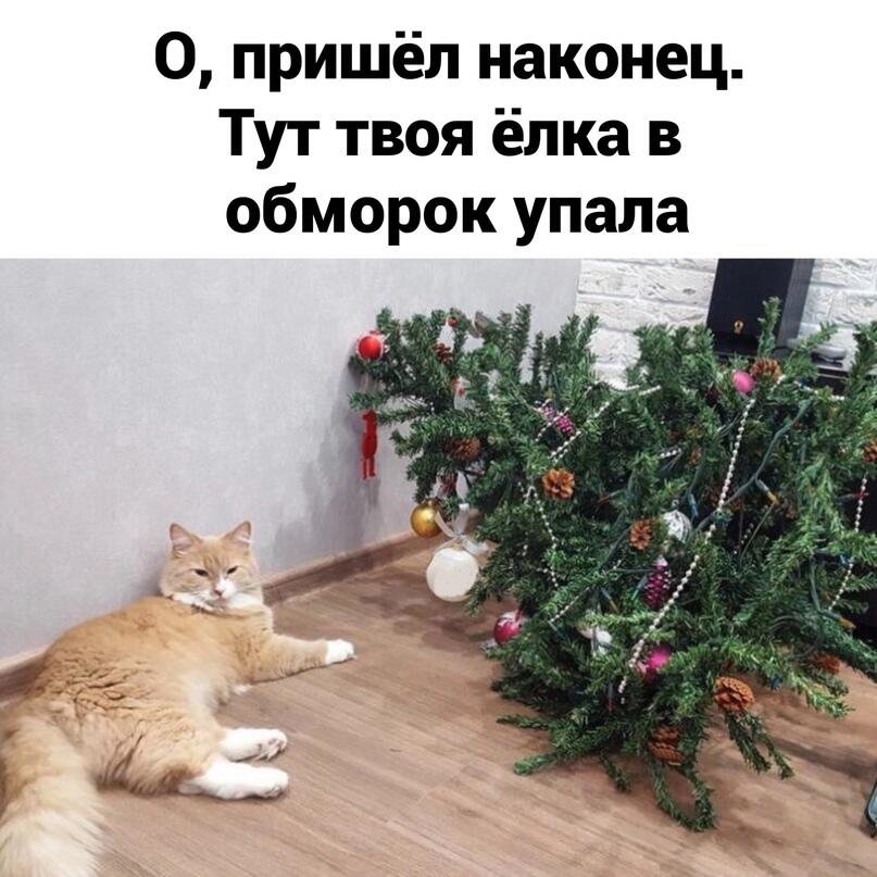 Мем без подписи