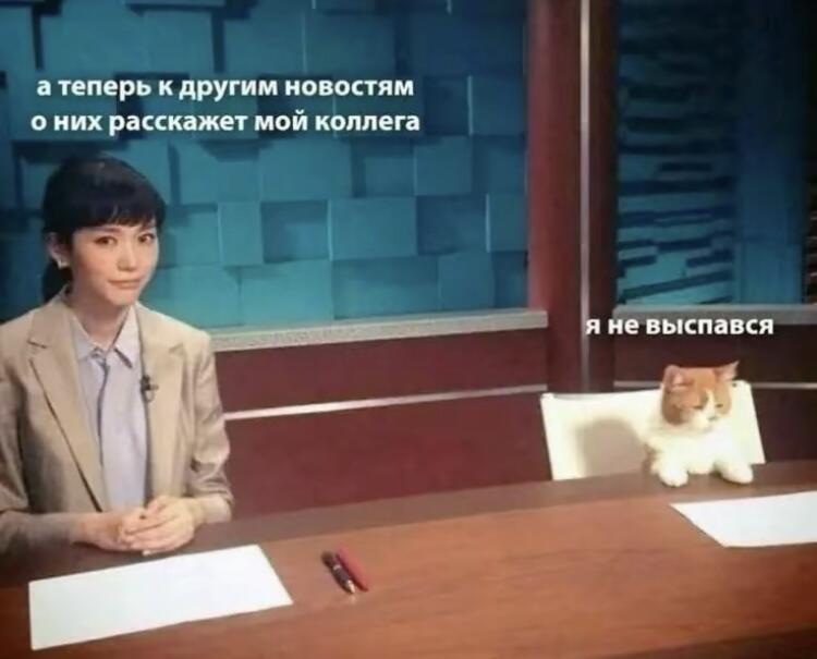 Мем без подписи