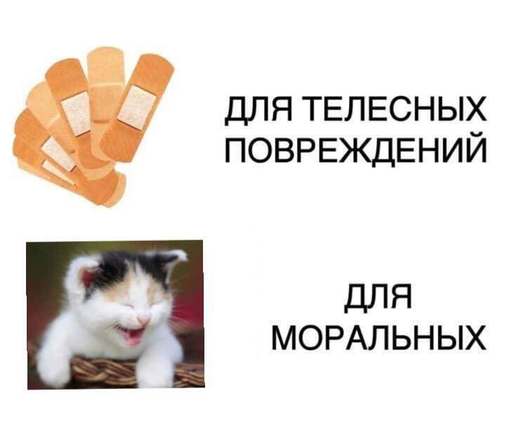 Коооооотикиии:3