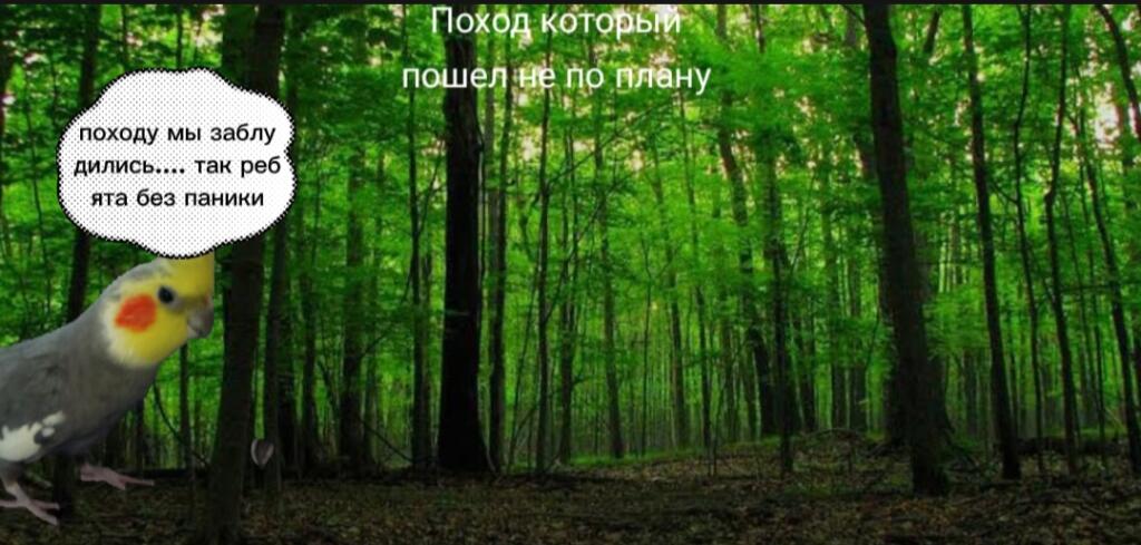 Я объявляю коллаб! "Поход который пошел не по плану". Сюда может добавляться кто хочет, полностью сам! (Надеюсь что он у
