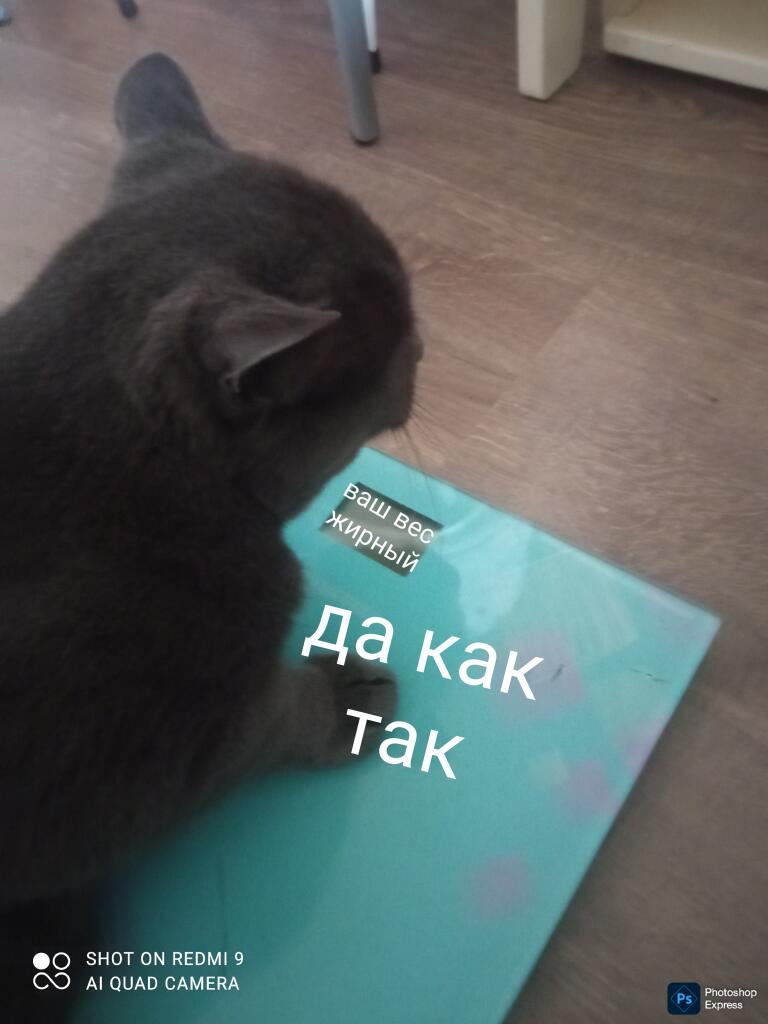 Старый добрый мем