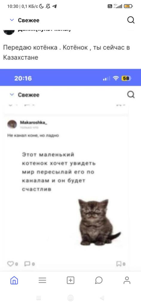Передаю фонарю