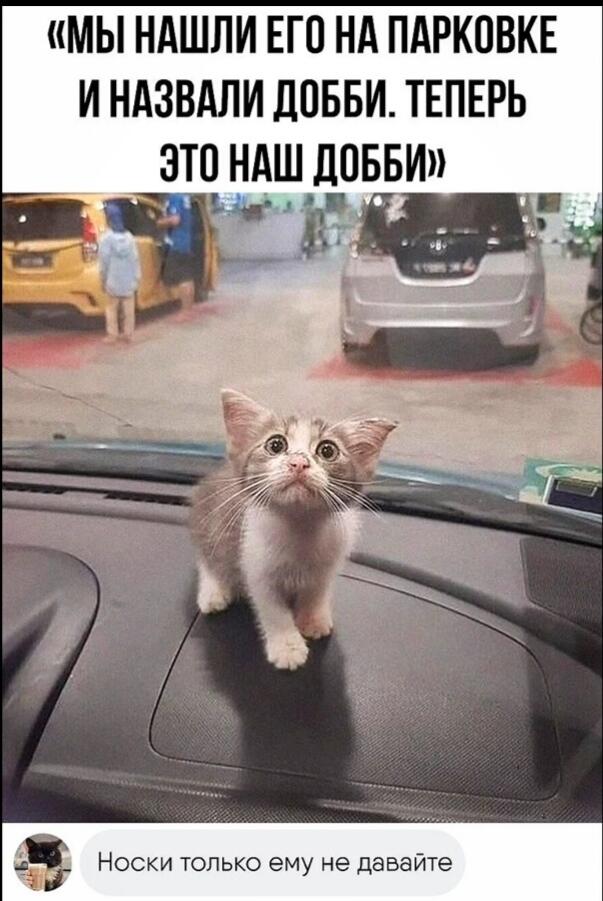 Мем без подписи