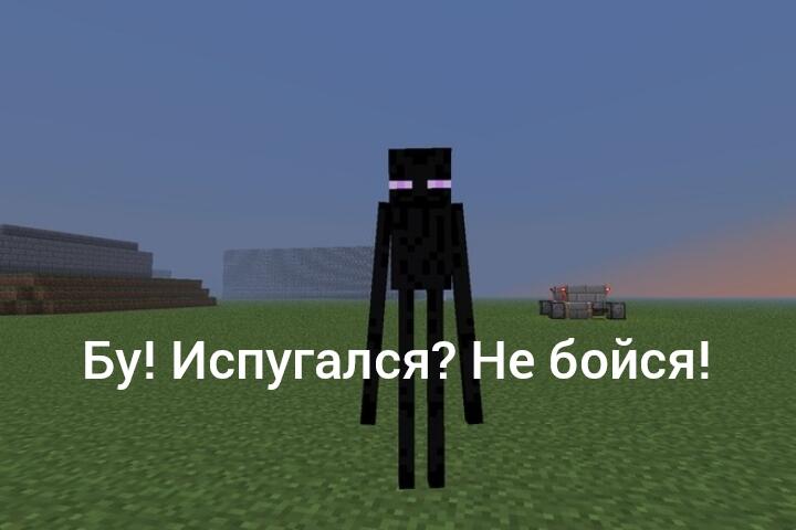 Жалко этого добряка