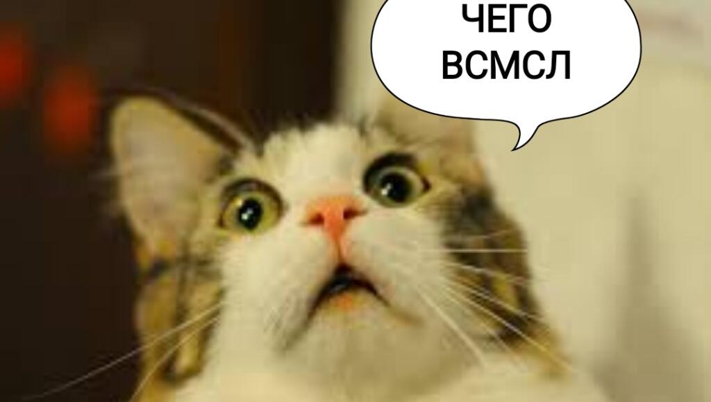 Когда сказал коту,что сосиски подорожали