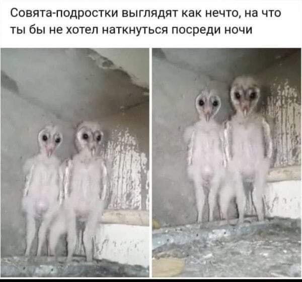 Ёкарный бабай, ну нафиг…