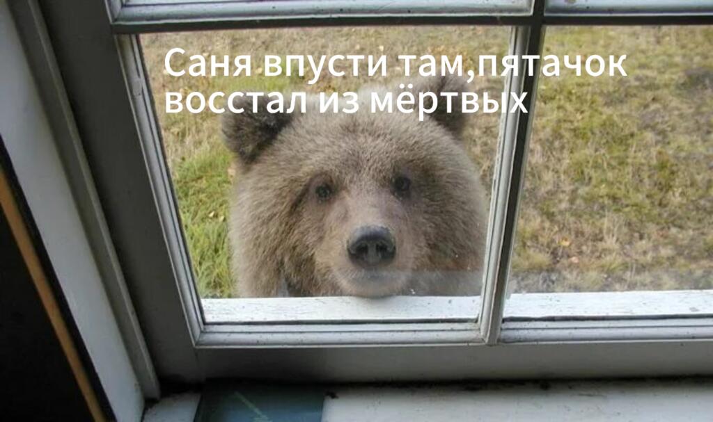 И восстали пятачки и началась атомная война